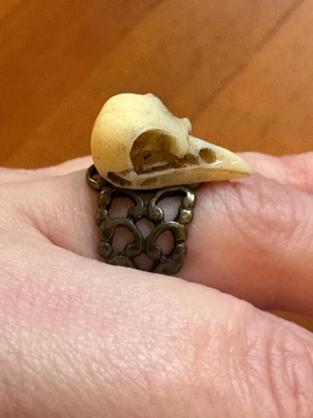 Hand-Crafted Adjustable Bird Skull Ring with Antique Brass Band - Cream & Brass